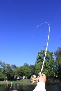 Advanced How-to Split-shot Rod Action