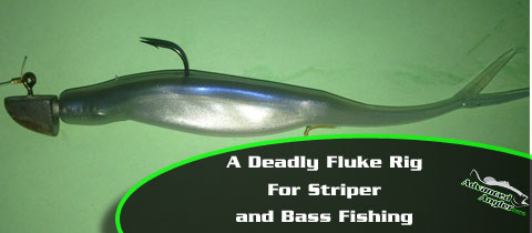 A Deadly Fluke Rig for Striper (and even Black Bass)