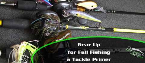 Advanced How To – Swim Jig Primer  Advanced Angler::Bass Fishing  News::Bassmaster::Major League Fishing