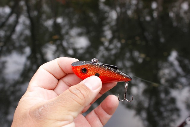 Advanced Product Review – Livingston Lures Pro Ripper Lipless