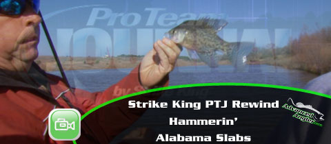 Advanced How To – Swim Jig Primer  Advanced Angler::Bass Fishing  News::Bassmaster::Major League Fishing