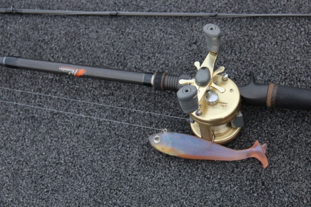 Scraping Swimbaits  Advanced Angler::Bass Fishing News::Bassmaster::Major  League Fishing