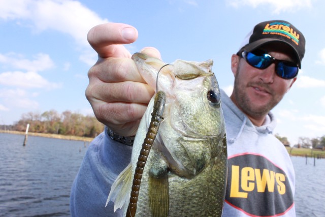 Shaky Heads Around the Spawn  Advanced Angler::Bass Fishing  News::Bassmaster::Major League Fishing