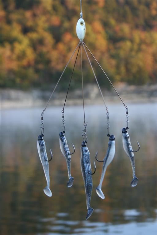 The Alabama Rig Buzz  Advanced Angler::Bass Fishing  News::Bassmaster::Major League Fishing