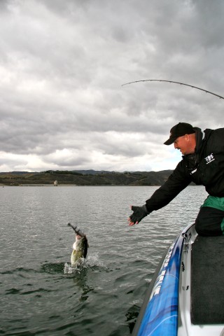 Bill Lowen Joins Pro Staff at Ark Fishing