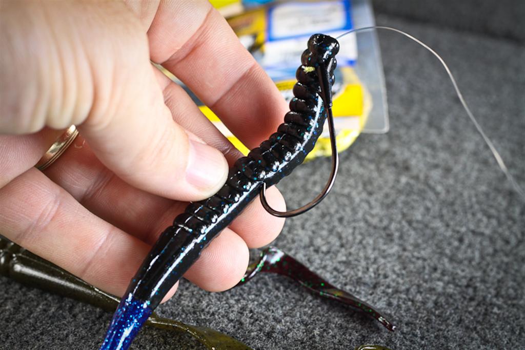 Hookpoints – 10-inch Power Worm  Advanced Angler::Bass Fishing