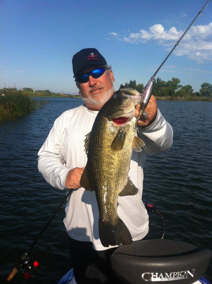 Too Early for Topwater?  Advanced Angler::Bass Fishing  News::Bassmaster::Major League Fishing