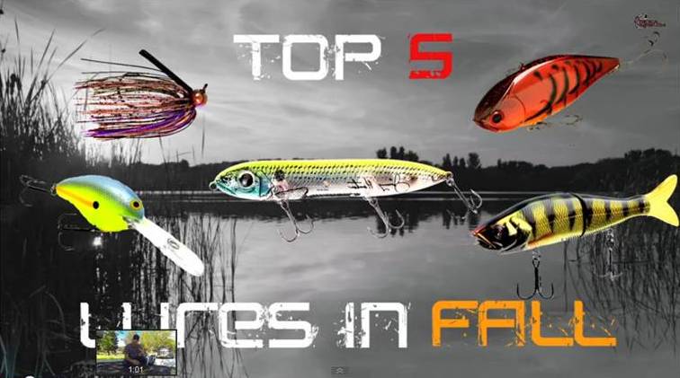 Top 5 Baits For September Bass Fishing! — Tactical Bassin' - Bass Fishing  Blog