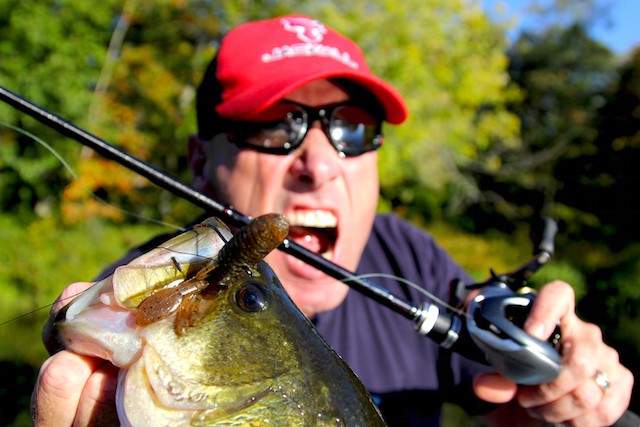 Creature Baits  Advanced Angler::Bass Fishing News::Bassmaster::Major  League Fishing