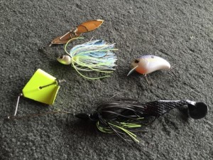 Fred Roumbanis' Fall Transitions Baits