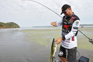 Jason Christie with a Kentucky Lake Frog Bass - photo by Dan O'Sullivan