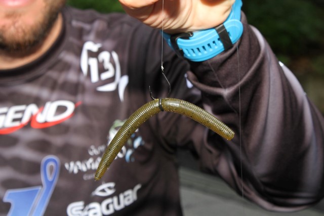 23 Seaguar Hookpoints Stetson Blaylock Wacky Rigged Stickbait - It should Hang Like This